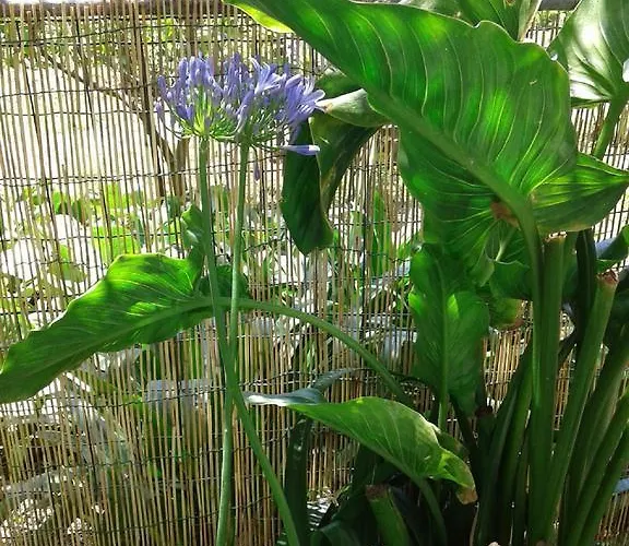 아파트 Il Leudo 레반토