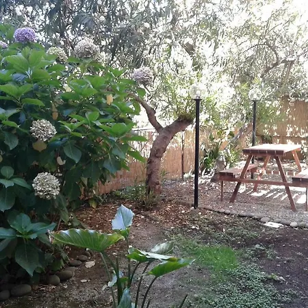 Il Leudo Levanto