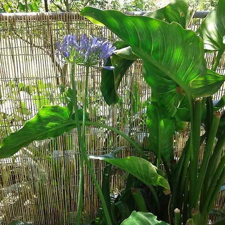 Lägenhet Il Leudo Levanto